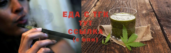 тгк Абаза