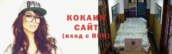 тгк Абаза
